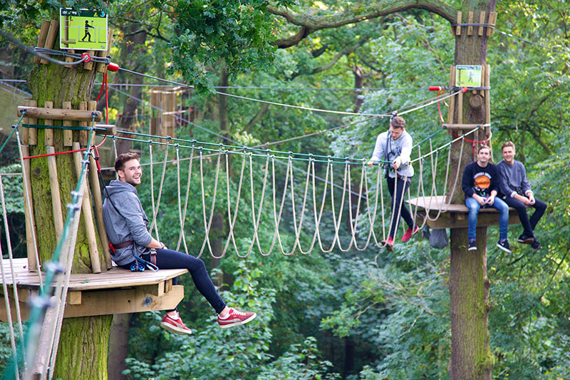 Go Ape Thetford Go Ape Thetford