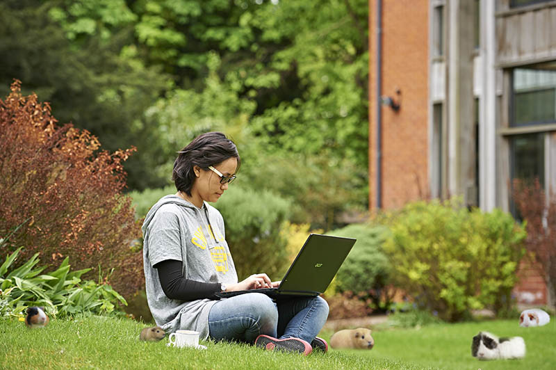 King's College Chapel, Cambridge