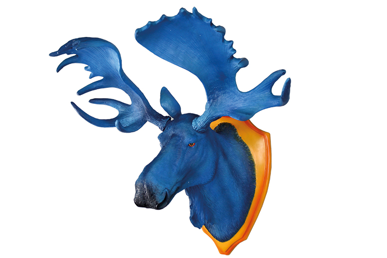 out there interiors moose