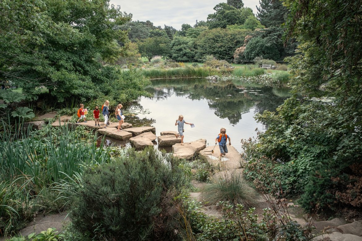 What’s On at the Botanic Garden