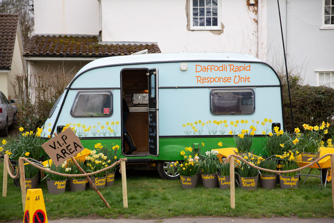 Thriplow Daffodil Weekend