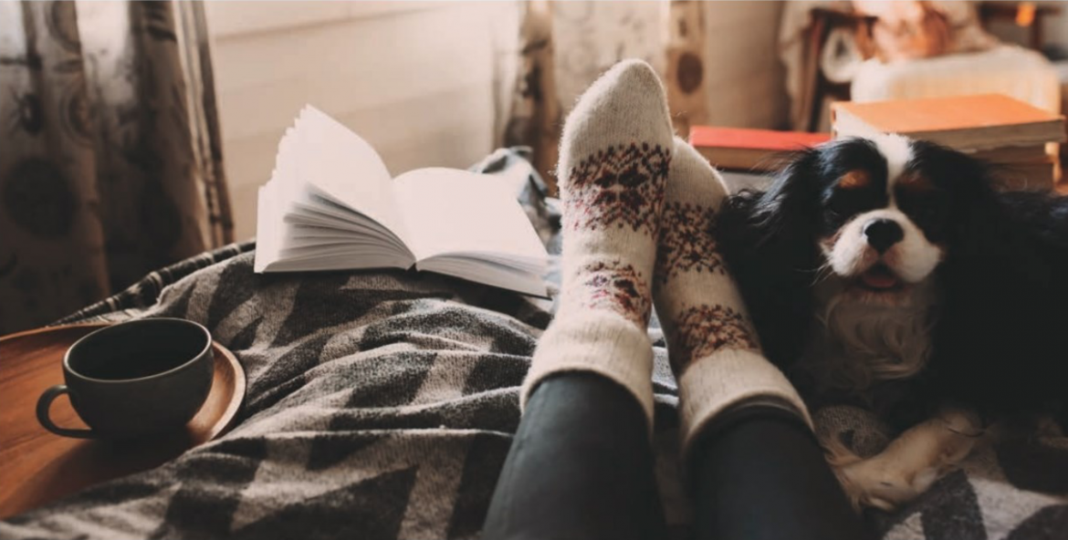 Edition Book Club: November ’20