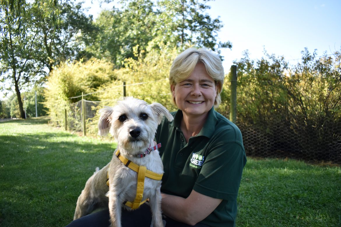 Wood Green can help pets and their owners