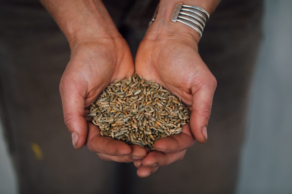 Foodie events: Time to Flourish