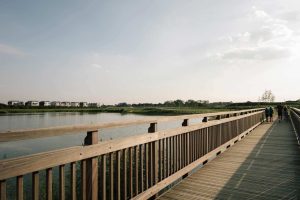 Northstowe waterpark (lake)