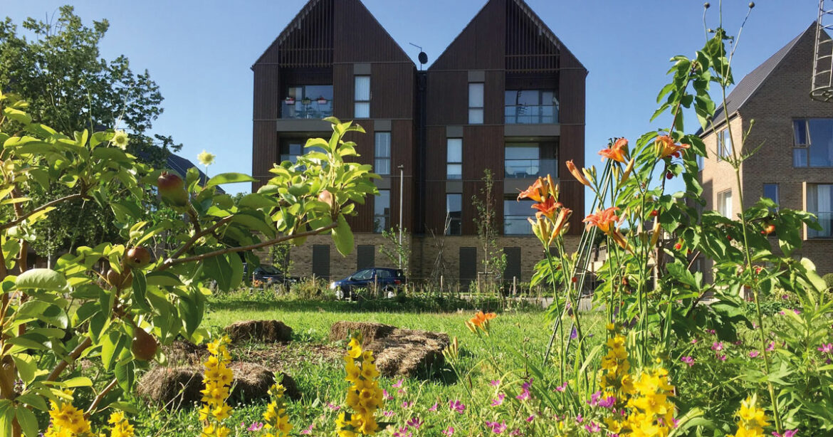 Cambridge allotments