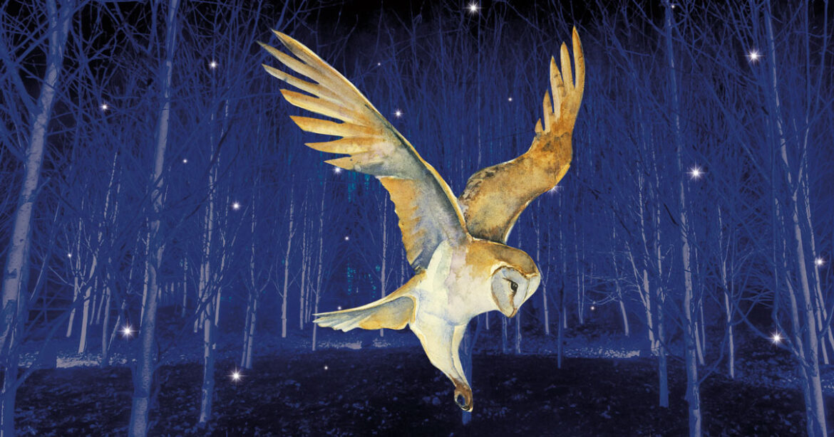 Anglesey Abbey Winter Lights