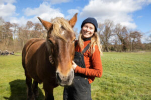 Cambridge Christmas markets