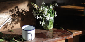 anna's-flower-farm-IMG_8981