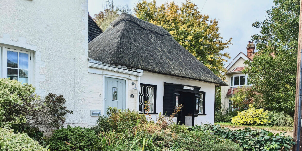 Hope is A Daffodil Bright